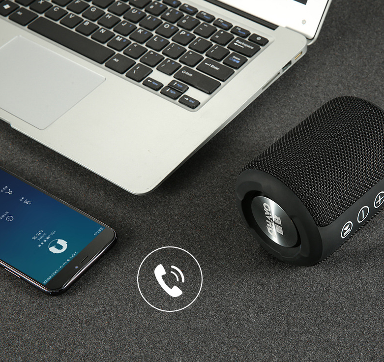Portable Speaker