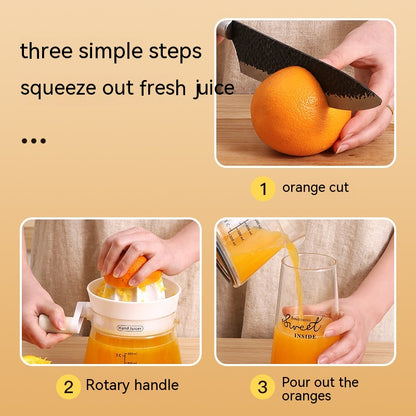 Small Manual Juicer